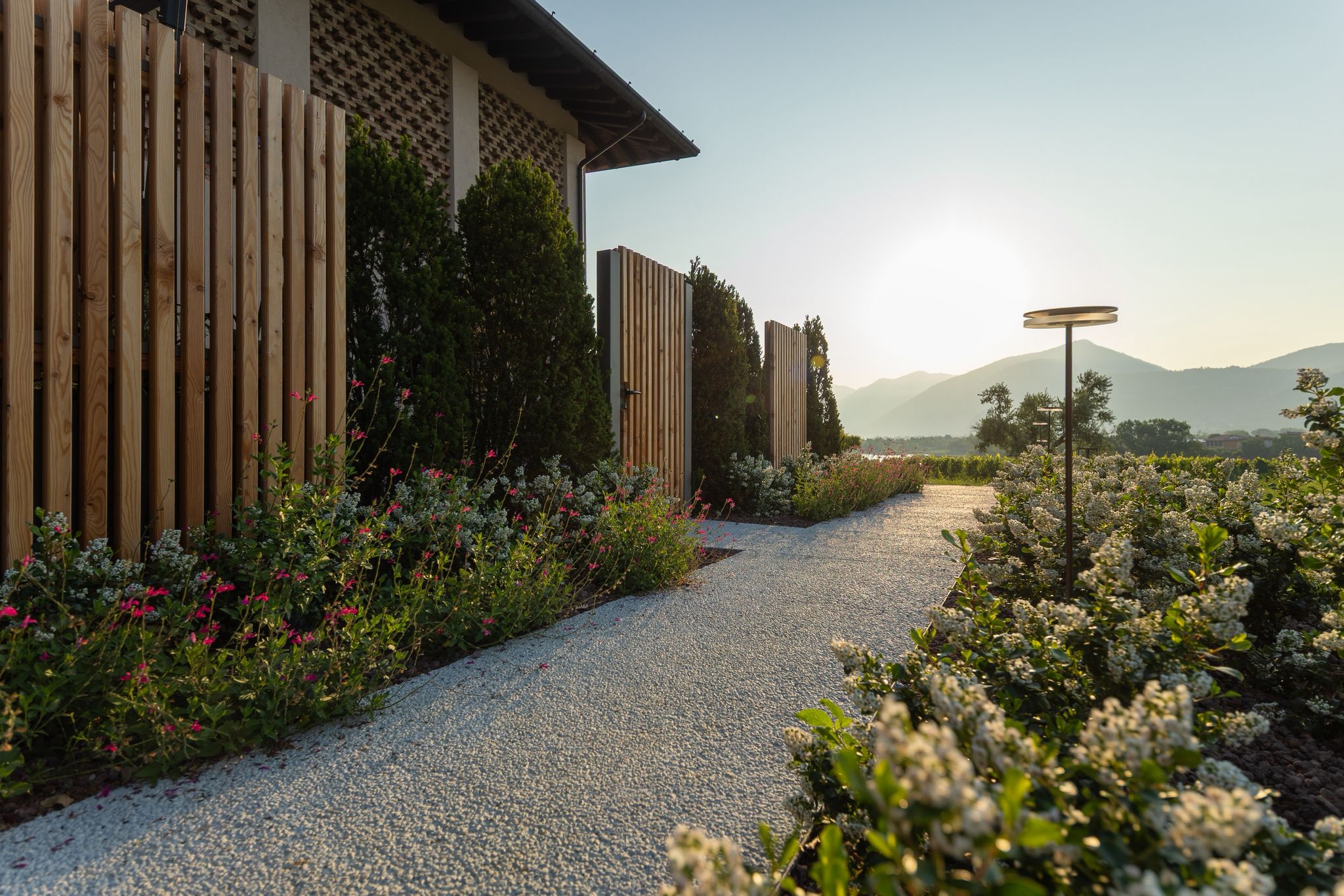 PHOTO-2025-11-28-17-38-53